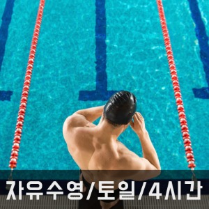 자유수영/ 토,일/ 4시간