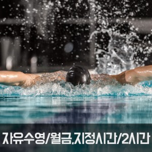 자유수영/ 월-금,지정시간(13~17시)/ 2시간