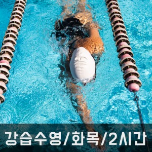 강습수영/ 화,목/ 2시간