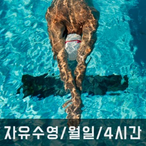 자유수영/ 월-일/ 4시간