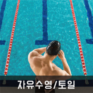 자유수영/ 토,일